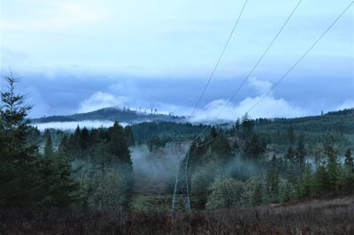 Panoramic shot of trees on field against sky