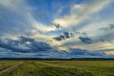 Scenic view of field against sky