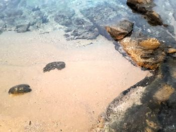 High angle view of beach