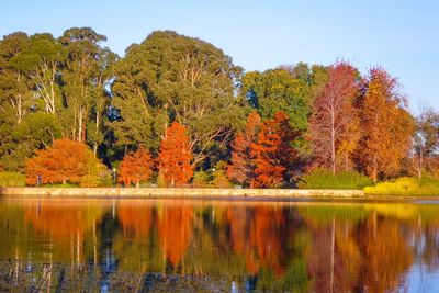 Scenic view of lake during autumn