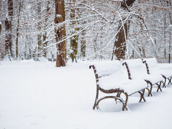 Benches in a city park covered with fresh snow, city park in a winter season