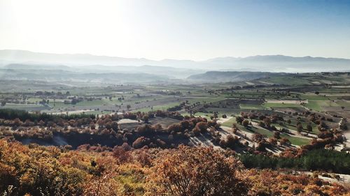 Scenic view of field against clear sky