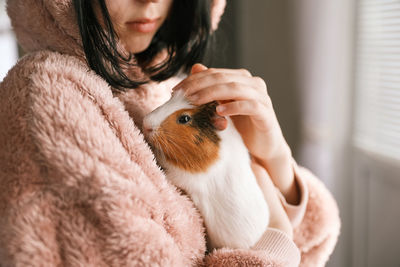 Cute guinea pig in the girl's arms, child and animal concept