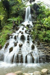 Scenic view of waterfall in forest