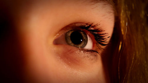 Extreme close-up of woman eye