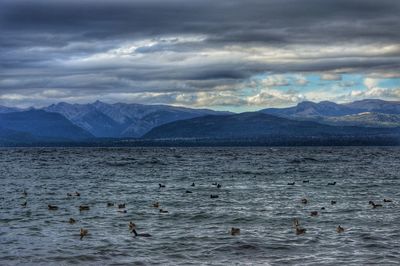 Birds in lake against mountains