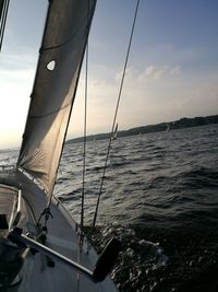 Sailboat sailing on sea against sky