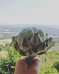 Close-up of hand holding bread against sky
