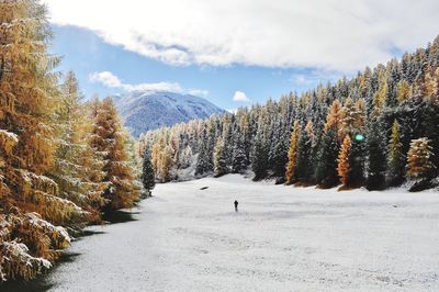 Scenic view of snow covered landscape against sky