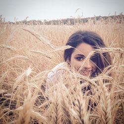 field