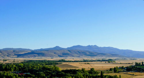 Scenic view of agricultural landscape against clear blue sky