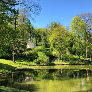 Scenic view of lake by trees against sky