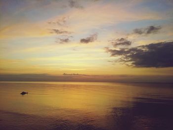 Scenic view of sea at sunset