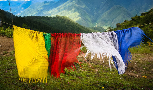 Scenic view of grassy field against sky