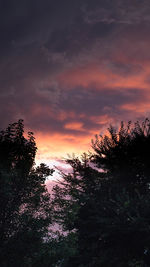 Low angle view of silhouette trees against sky during sunset
