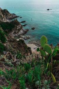 High angle view of rocks on sea shore