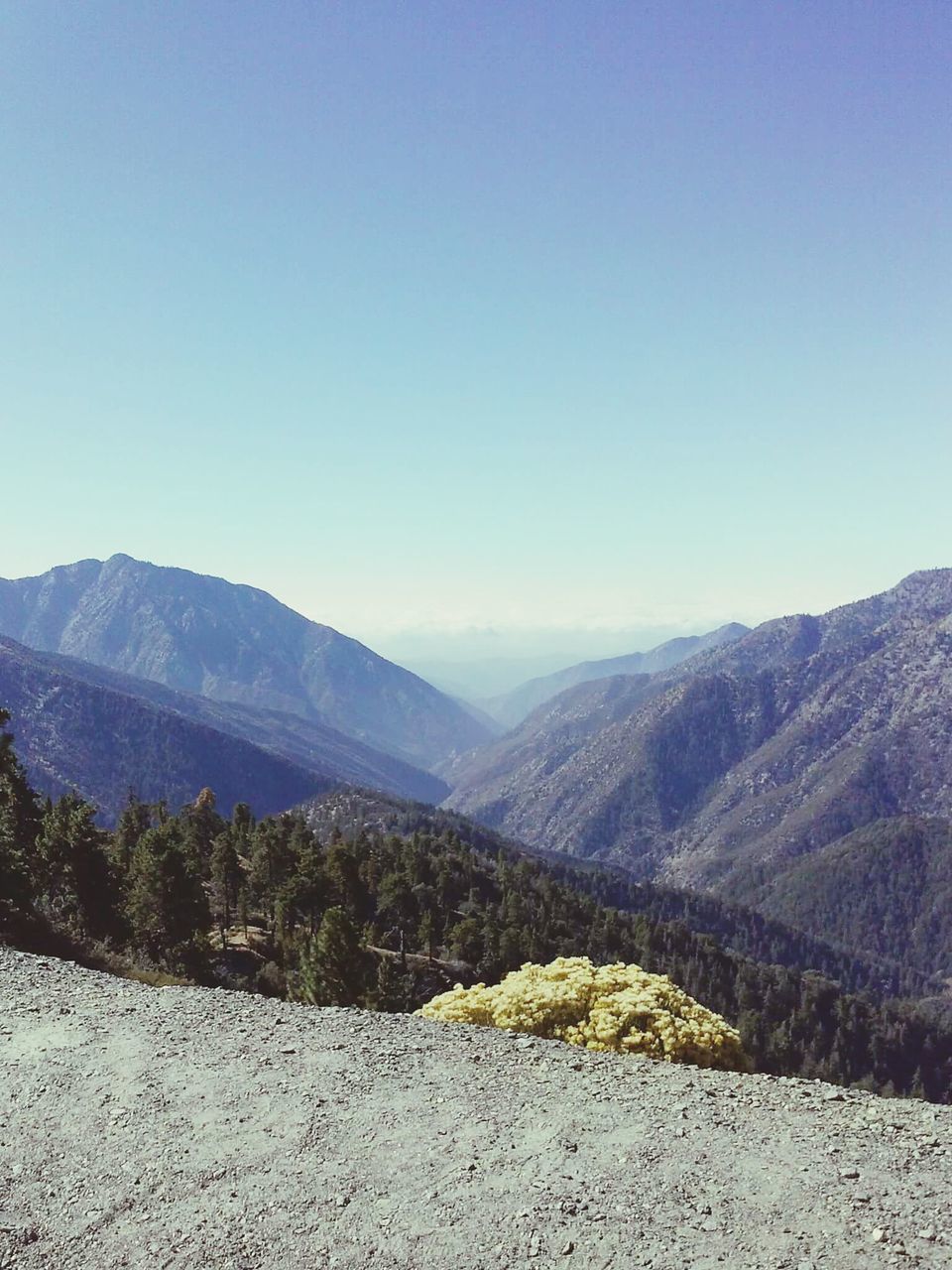 mountain, clear sky, mountain range, tranquil scene, tranquility, landscape, scenics, copy space, beauty in nature, nature, blue, non-urban scene, idyllic, remote, tree, outdoors, countryside, day, no people, non urban scene