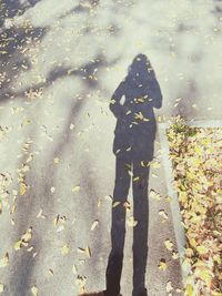 Shadow of man on street during autumn