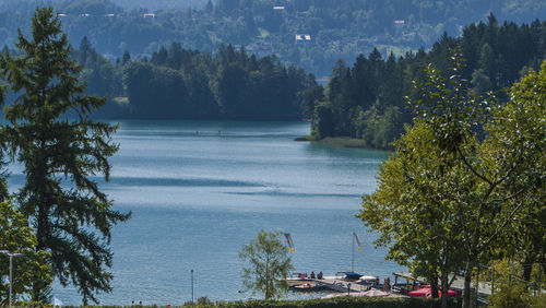 High angle view of trees by sea