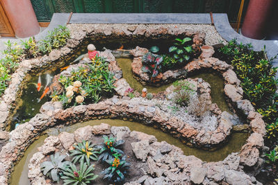 High angle view of potted plant on rock in yard