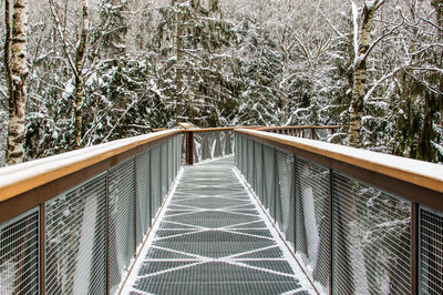 Walkway in forest against trees during winter