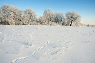 Frosty day on the top of the mountain