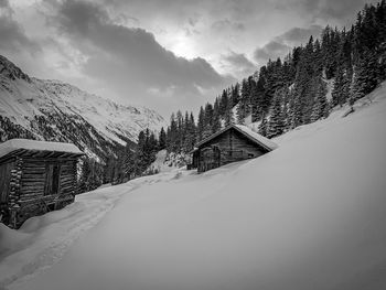 Snow covered trees and buildings against sky