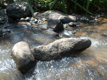 High angle view of rocks in water