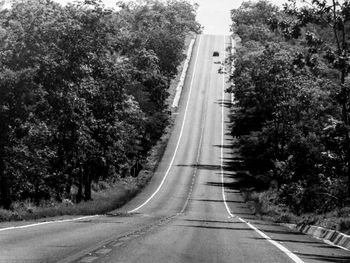 Road amidst trees against sky in city