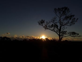 Silhouette trees against sky during sunset