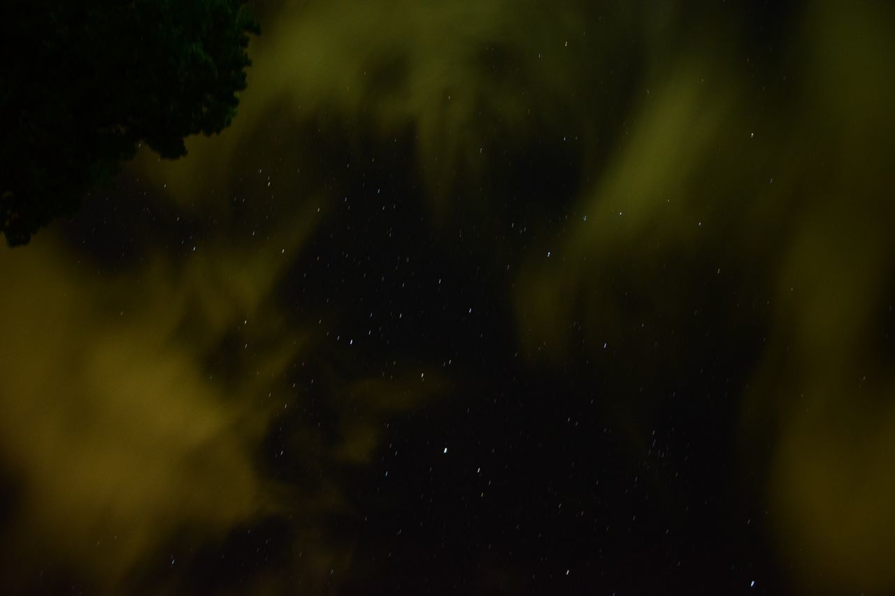 LOW ANGLE VIEW OF STAR FIELD AGAINST SKY