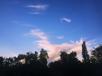 Low angle view of trees against blue sky