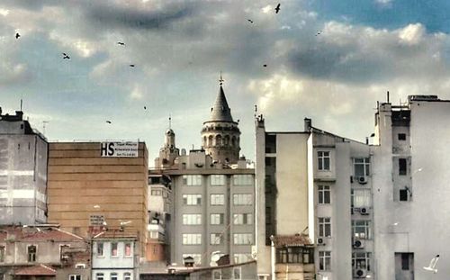 Low angle view of birds flying against sky