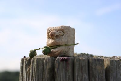 Close-up of sculptured clay head against sky