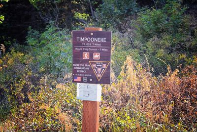 Information sign by trees in forest