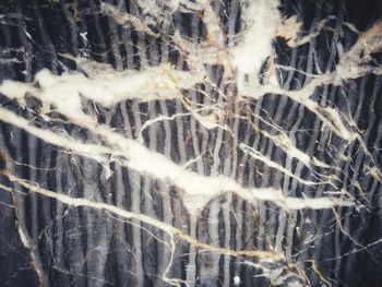 Full frame shot of snow covered plants