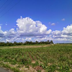 Scenic view of field against cloudy sky