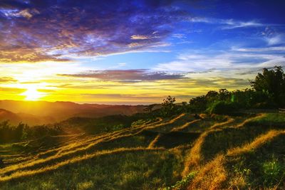 Scenic view of agricultural field against sky at sunset