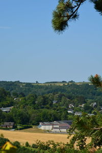 Trees on field against clear sky