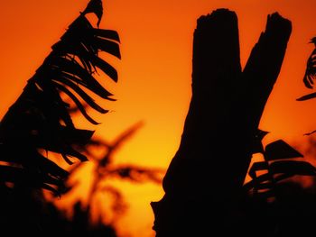 Low angle view of silhouette trees during sunset