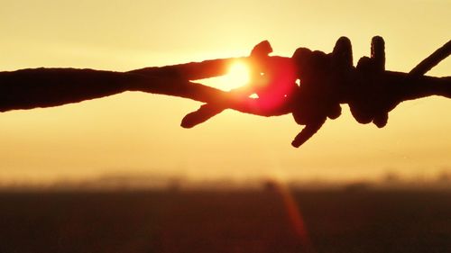 Close-up of silhouette barbed wire against sky during sunset