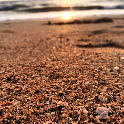 Surface level of sandy beach