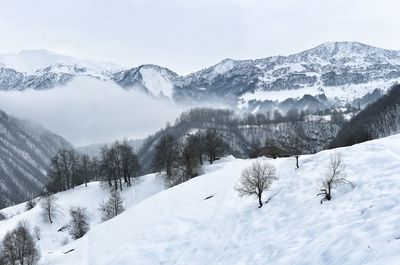 Scenic view of snowcapped mountains against sky