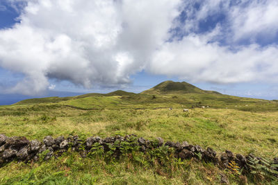 Scenic view of field against sky