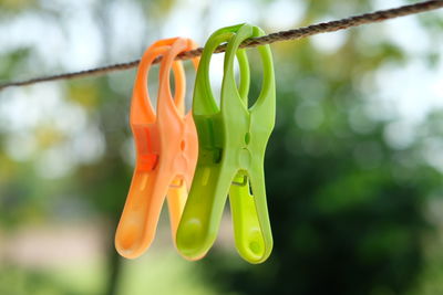 Close-up of clothespins hanging