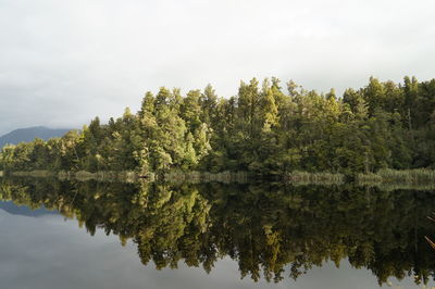 Reflection of trees in lake against sky