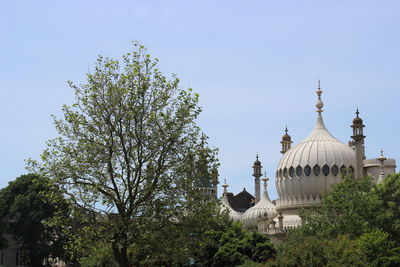 Low angle view of trees against clear sky