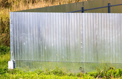 Plants growing on field by fence against wall