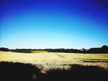 Scenic view of field against clear blue sky