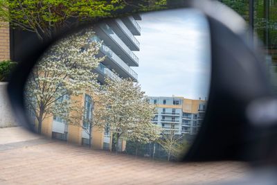 Trees by footpath seen through window of house